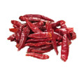 Großhandel getrocknete Chilischoten Chili Pepper Whole Factory Supply